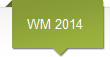WM 2014